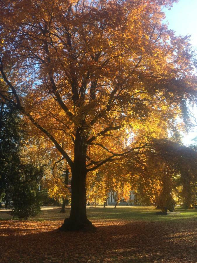In Pempelfort - Düsseldorf